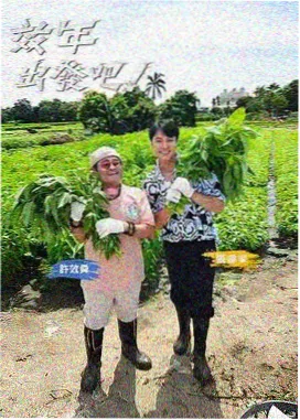 免费看亚洲 亚洲综艺 音乐